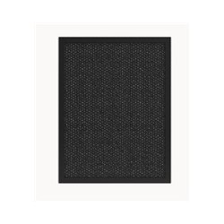 Tesla Smart Air Purifier Pro L Carbon Filter