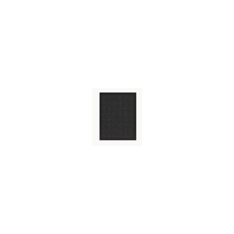 Tesla Smart Air Purifier Pro L Carbon Filter