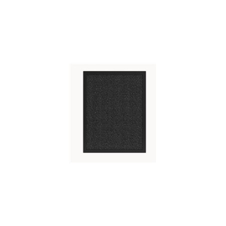 Tesla Smart Air Purifier Pro L Carbon Filter