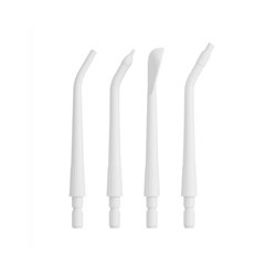Tesla Flosser FS200 Spare Heads White