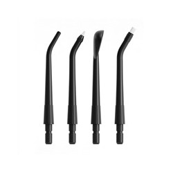 Tesla Flosser FS200 Spare Heads Black