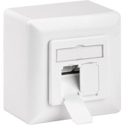 CAT 6a Class EA síťová zásuvka na/pod omítku 2x RJ45