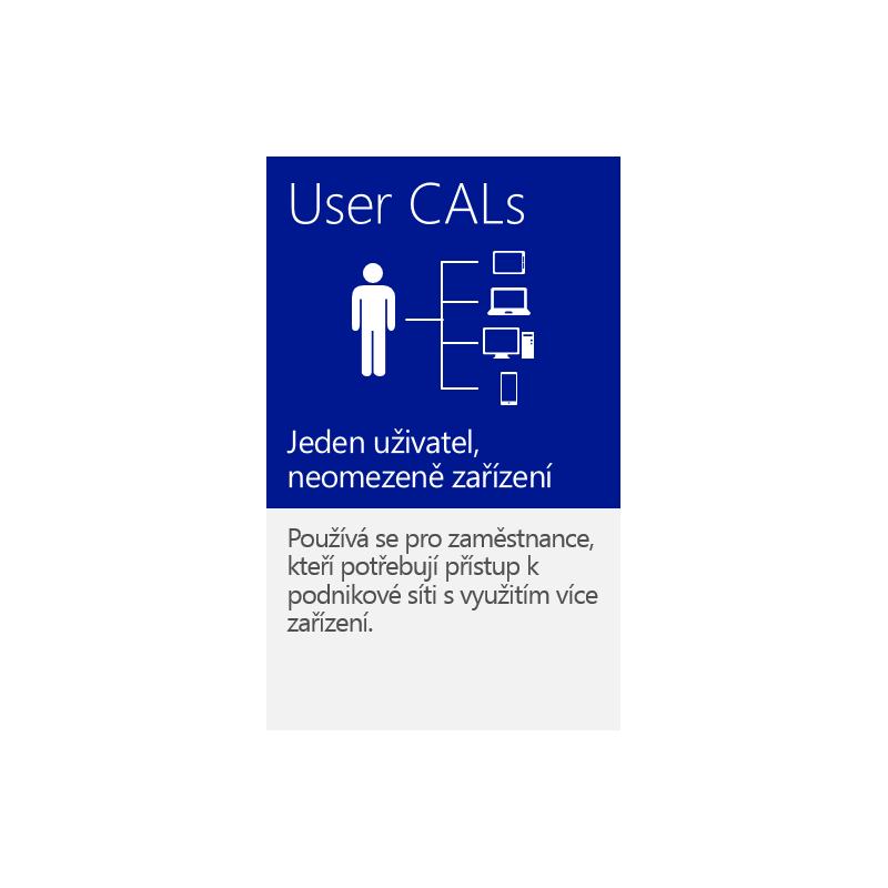 MS OEM Windows Server CAL 2016 EN 1pk 1 User CAL