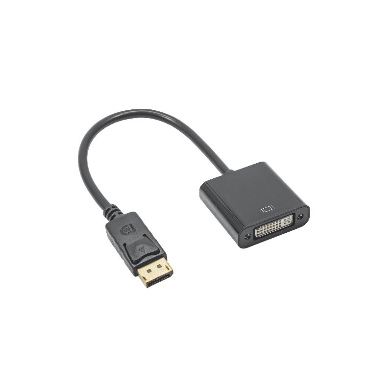 Akyga konventor DVI-F/Displayport-M/ABS/20cm