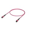Ubiquiti OM4 MPO-12 UPC Fiber Patch Cable, 100G, 1m
