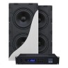 SVS 3000 In Wall Subwoofer System