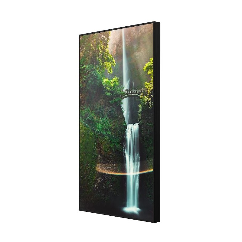 Hisense 55WH80F, 55” Window Facing - High Brightness Display