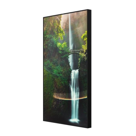Hisense 55WH80F, 55” Window Facing - High Brightness Display