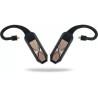 iFi Go pod