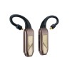 iFi Go pod Max
