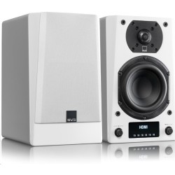 SVS PRIME WIRELESS Pro Powered Speaker PGW