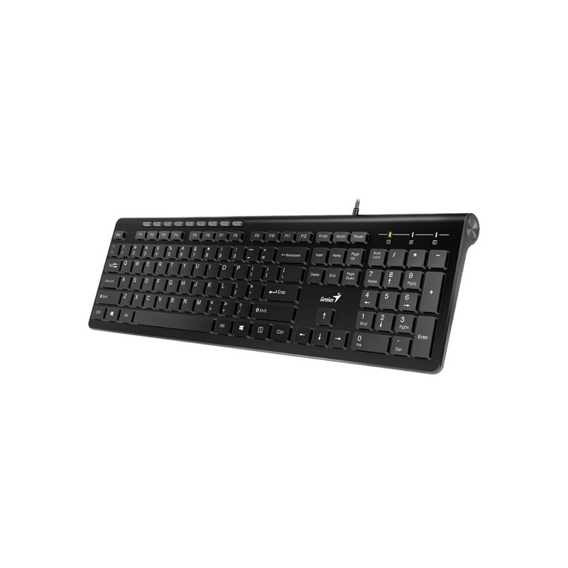 Genius Slimstar 230 klávesnice drátová (USB) US, černá