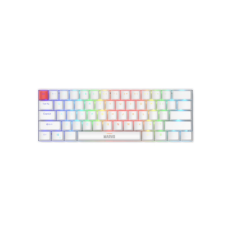 Marvo SABER 61 klávesnice drátová (USB) US, bílá mechanická
