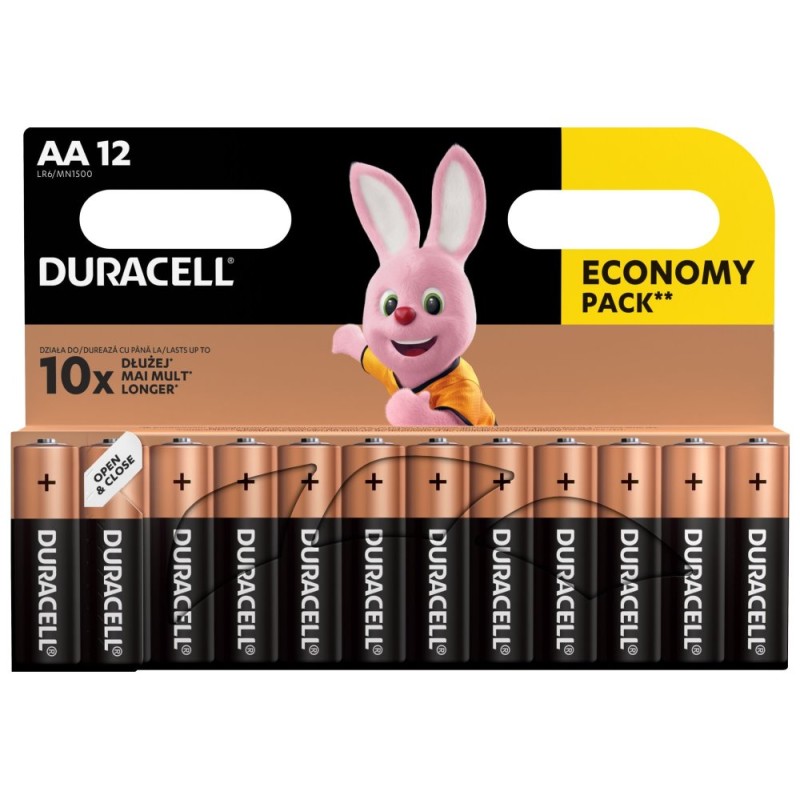 Duracell BASIC Jednorázová alkalická baterie AA, 12-pack