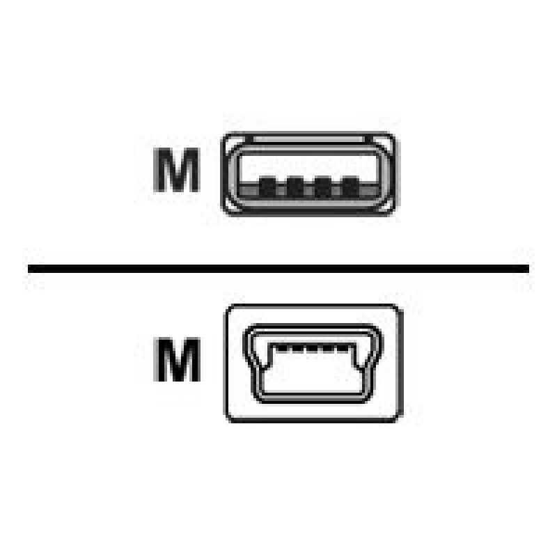 Console Cable 6 Feet with USB Type A and mini-B Connectors CABCONSOLEUSB