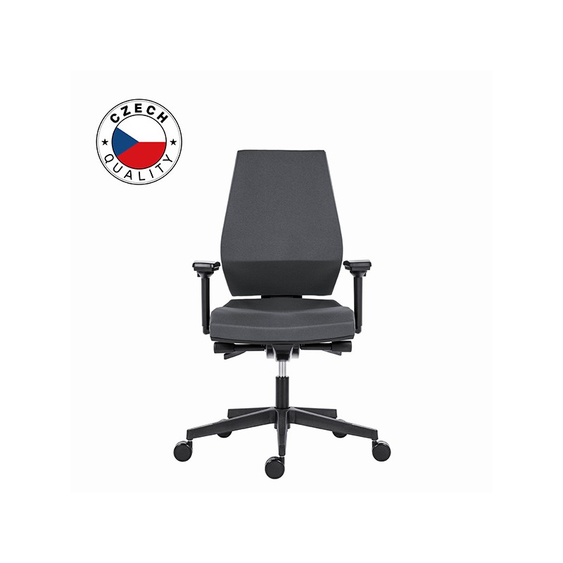 Powerton ERGO SIMA Kancelářské ergonomické křeslo, Šedé