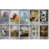 Fujifilm Film Instax Mini Stone Grey