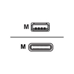 Cisco - USB kabel - USB (M) do USB-C (M) - 4 m - pro Webex Room Kit Mini