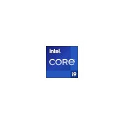 Intel Core i9 12900K - 3.2 GHz - 16 jader - 24 vláken - 30 MB vyrovnávací paměť - LGA1700 Socket - OEM