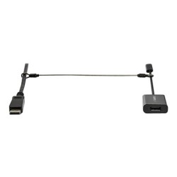 StarTech.com 10-Pack Security Cable Tethers for Adapters & Dongles, Universal Cable Adapter Tether, Tether Cables, Adjustable
