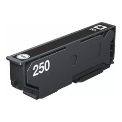 Epson 250 - 5.3 ml - cerná - originální - blistr s RF / akustickým alarmem - inkoustová cartridge - pro P/N: C11CL95402
