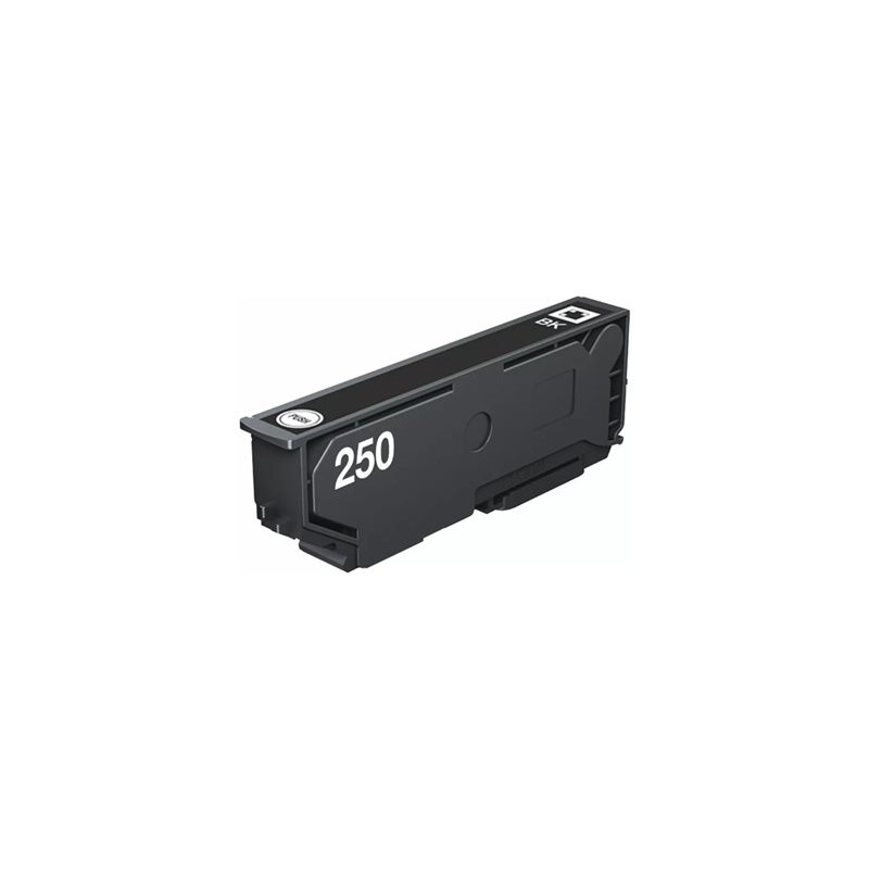 Epson 250 - 5.3 ml - cerná - originální - blistr s RF / akustickým alarmem - inkoustová cartridge - pro P/N: C11CL95402
