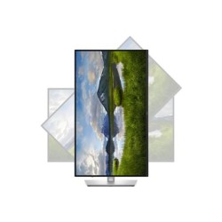 DELL LCD P2725QE - 27"/IPS/LED/3840x2160/16:9/100Hz/8ms/1500:1/350 cd/m2/HDMI/DP/PIVOT/VESA/3YNBD (210-BRDS)