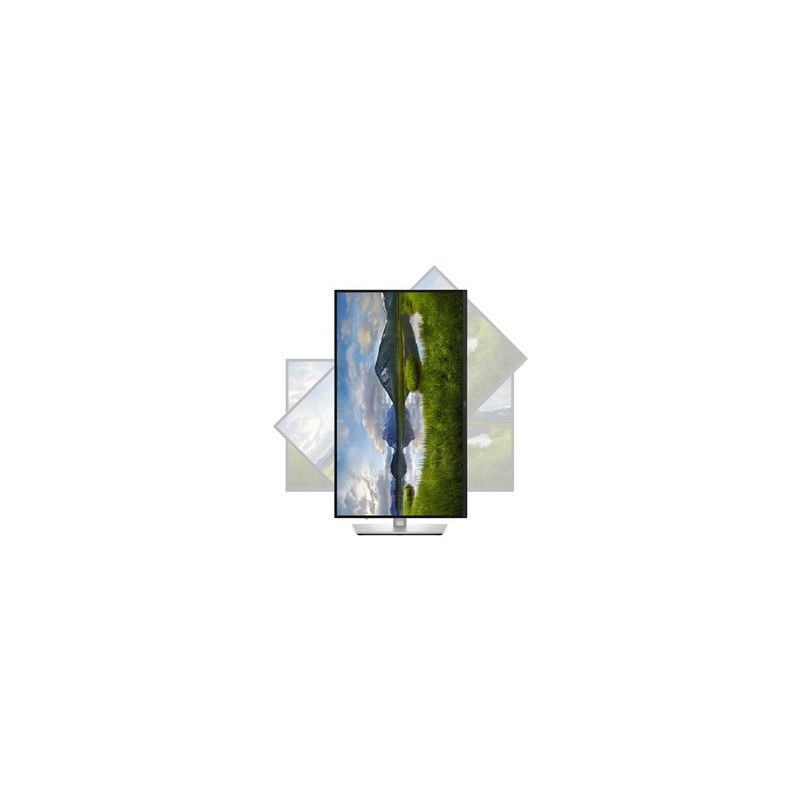 DELL LCD P2725QE - 27"/IPS/LED/3840x2160/16:9/100Hz/8ms/1500:1/350 cd/m2/HDMI/DP/PIVOT/VESA/3YNBD (210-BRDS)