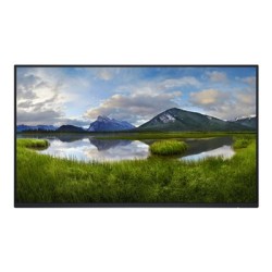 Dell P2425H - Bez stojanu - LED monitor - 24" (23.81" zobrazitelný) - 1920 x 1080 Full HD (1080p) @ 100 Hz - IPS - 250 cd/m?