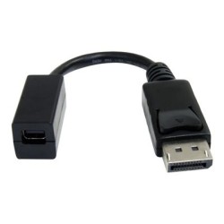 StarTech.com 6in DisplayPort to Mini DisplayPort Video Cable Adapter (DP2MDPMF6IN) - Adaptér DisplayPort - DisplayPort (M) do