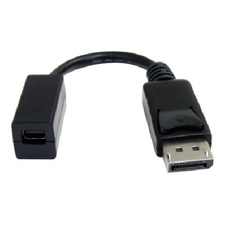 StarTech.com 6in DisplayPort to Mini DisplayPort Video Cable Adapter (DP2MDPMF6IN) - Adaptér DisplayPort - DisplayPort (M) do
