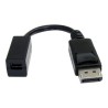 StarTech.com 6in DisplayPort to Mini DisplayPort Video Cable Adapter (DP2MDPMF6IN) - Adaptér DisplayPort - DisplayPort (M) do