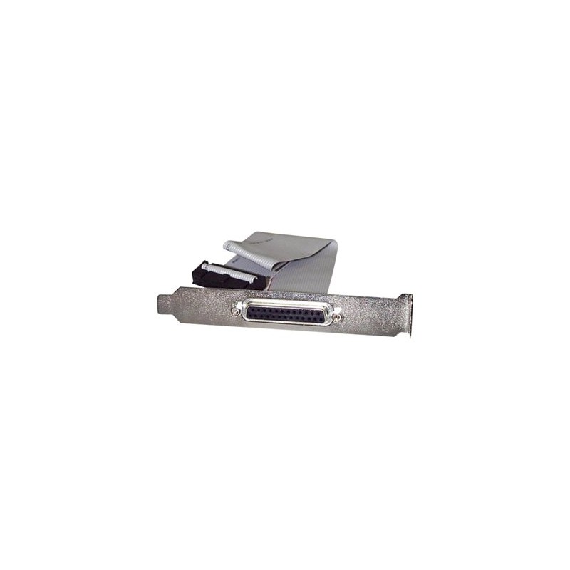 StarTech.com 16in DB25 Parallel Female to IDC 25 Pin Header Slot Plate (PLATE25F16) - Paralelní panel - DB-25 (F) do 26 pinová