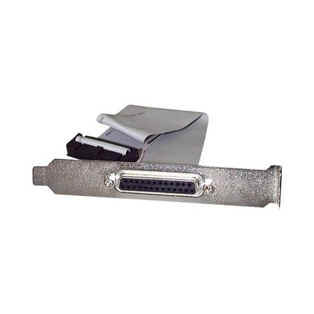 StarTech.com 16in DB25 Parallel Female to IDC 25 Pin Header Slot Plate (PLATE25F16) - Paralelní panel - DB-25 (F) do 26 pinová