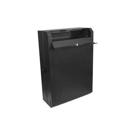 StarTech.com 6U Wall Mount Network Cabinet - Vertical Wall Mount Patch Panel Rack - 30" Server Room Cabinet (RK630WALVS)