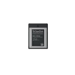 SanDisk Professional - Paměťová karta flash - 256 GB - CFexpress typu B - černá