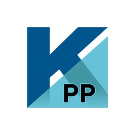 Tungsten PaperPort Professional - (v. 14) - licence - 1 uživatel - ESD - Win - Vícejazyčný