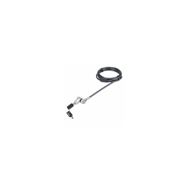 StarTech.com 25-Pack Universal Laptop Lock 6.6ft (2m), Master Keyed Locking Cable, Computer Security, Compatible w/Noble
