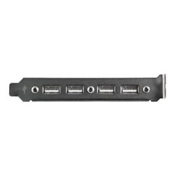StarTech.com 4 Port USB A Female Slot Plate Adapter - USB panel - 4 pin USB Type A (F) (USBPLATE4) - Panel USB - USB (F) do 9