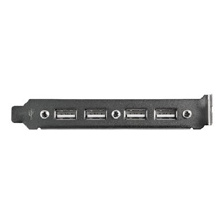 StarTech.com 4 Port USB A Female Slot Plate Adapter - USB panel - 4 pin USB Type A (F) (USBPLATE4) - Panel USB - USB (F) do 9