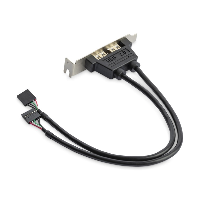 StarTech.com 2 Port USB A Female Low Profile Slot Plate Adapter - 2 Port USB Bracket - USB 2.0 A Female (USBPLATELP) - Panel