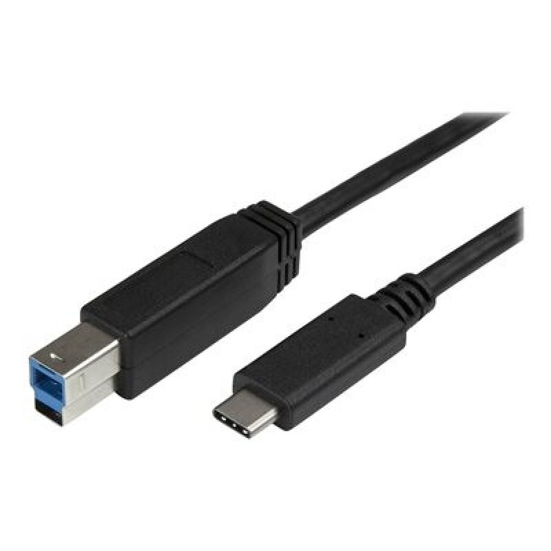 StarTech.com USB C to USB B Printer Cable - 6 ft / 2m - USB C Printer Cable - USB C to USB B Cable - USB Type C to Type B