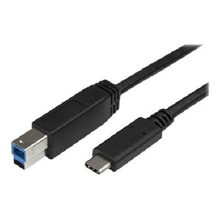 StarTech.com USB C to USB B Printer Cable - 6 ft / 2m - USB C Printer Cable - USB C to USB B Cable - USB Type C to Type B