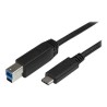 StarTech.com USB C to USB B Printer Cable - 6 ft / 2m - USB C Printer Cable - USB C to USB B Cable - USB Type C to Type B