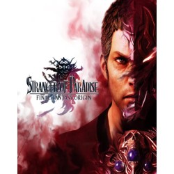 STRANGER OF PARADISE FINAL FANTASY ORIGIN – hra pro PC (elektronická licence)