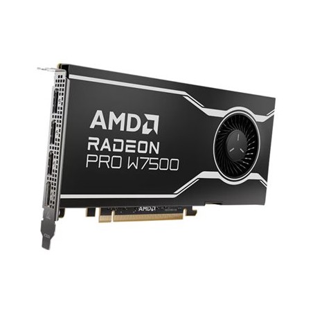 AMD Radeon Pro W7500 - Grafická karta - Radeon Pro W7500 - 8 GB GDDR6 - PCIe 4.0 x8 - 4 x DisplayPort