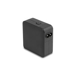 Delock - Sítový adaptér - AC 100-240 V - 65 Watt - výstupní konektory: 2 - cerná