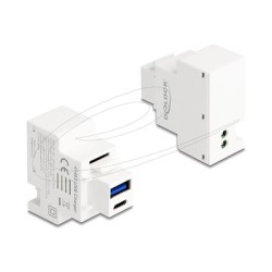 Delock - Zacvakávací modul (keystone) - PD 20 W - USB, USB typu C - 1 zásuvka USB, 1 zásuvka USB-C - 3 A - bílá
