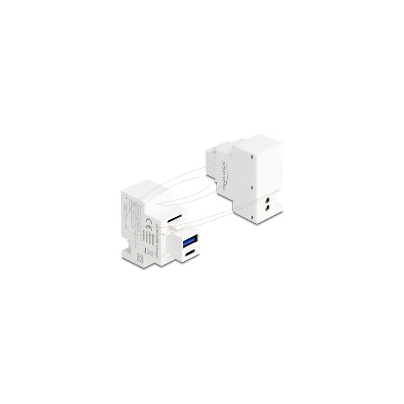 Delock - Zacvakávací modul (keystone) - PD 20 W - USB, USB typu C - 1 zásuvka USB, 1 zásuvka USB-C - 3 A - bílá