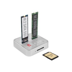 Delock - Dokovací stanice SSD - oddílů: 2 - M.2 - M.2 NVMe Card - USB 3.2 (Gen 2) - stříbrná